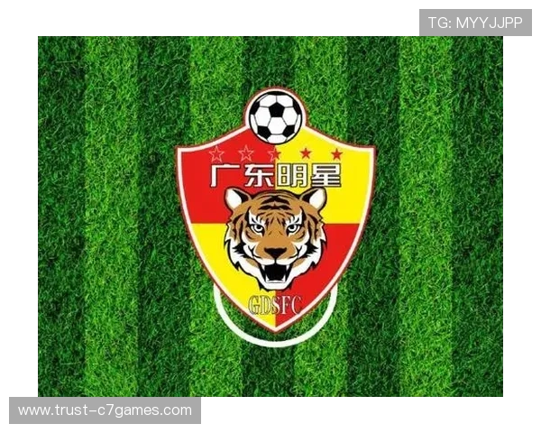 广东足球联赛全景解析及地方球队发展趋势研究